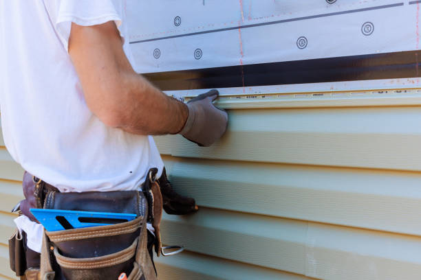 Best Custom Siding Design  in Vandalia, IL